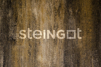 ���������� ������ Steingot ������� "����� ���� Stein Chrome"
